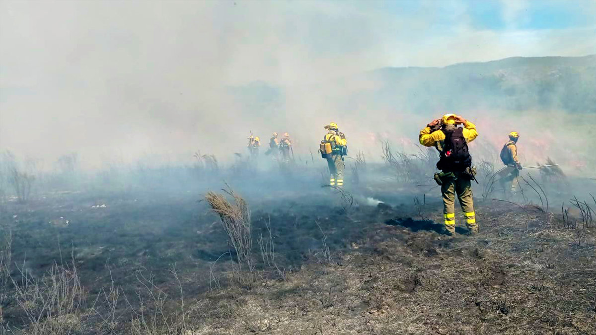 Bomberos forestales del GEACAM apagando un incendio. ARCHIVO