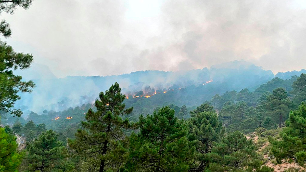Las llamas han afectado a una zona de densa vegetación. Foto: @MeteoHellín
