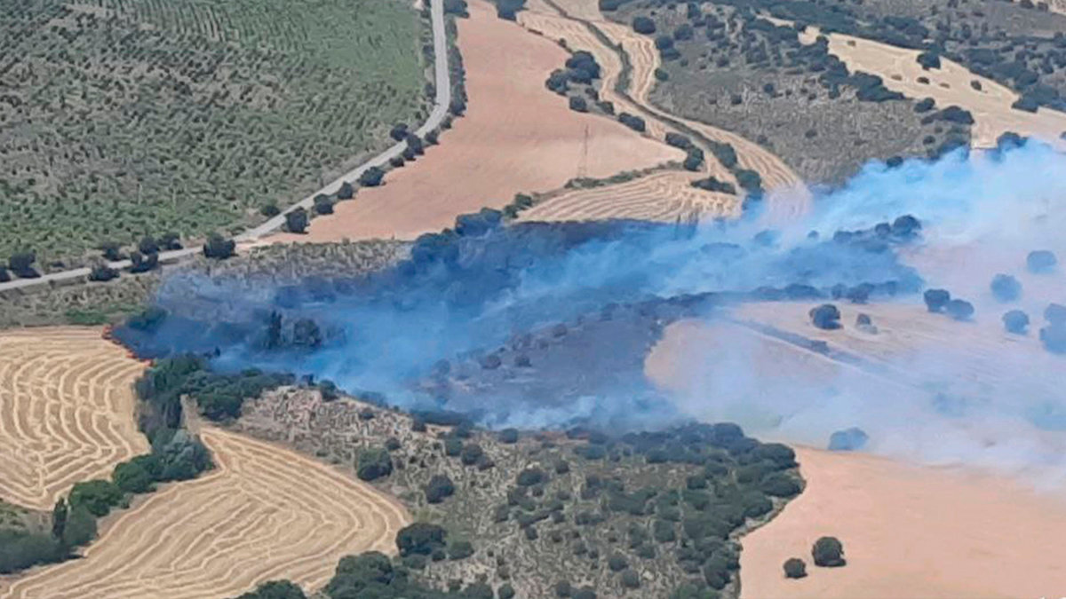 Vista aérea del incendio declarado en El Bonillo. Foto: Infocam