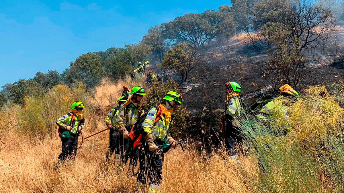 Bomberos forestales de Castilla-La Mancha durante las labores de extinción de un incendio. ARCHIVO