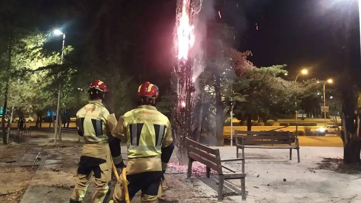 Los bomberos acudían a apagar el fuego provocado en un ciprés en el parque del Paseo Federico García Lorca. | FOTO: BOMBEROS AYTO. TOLEDO