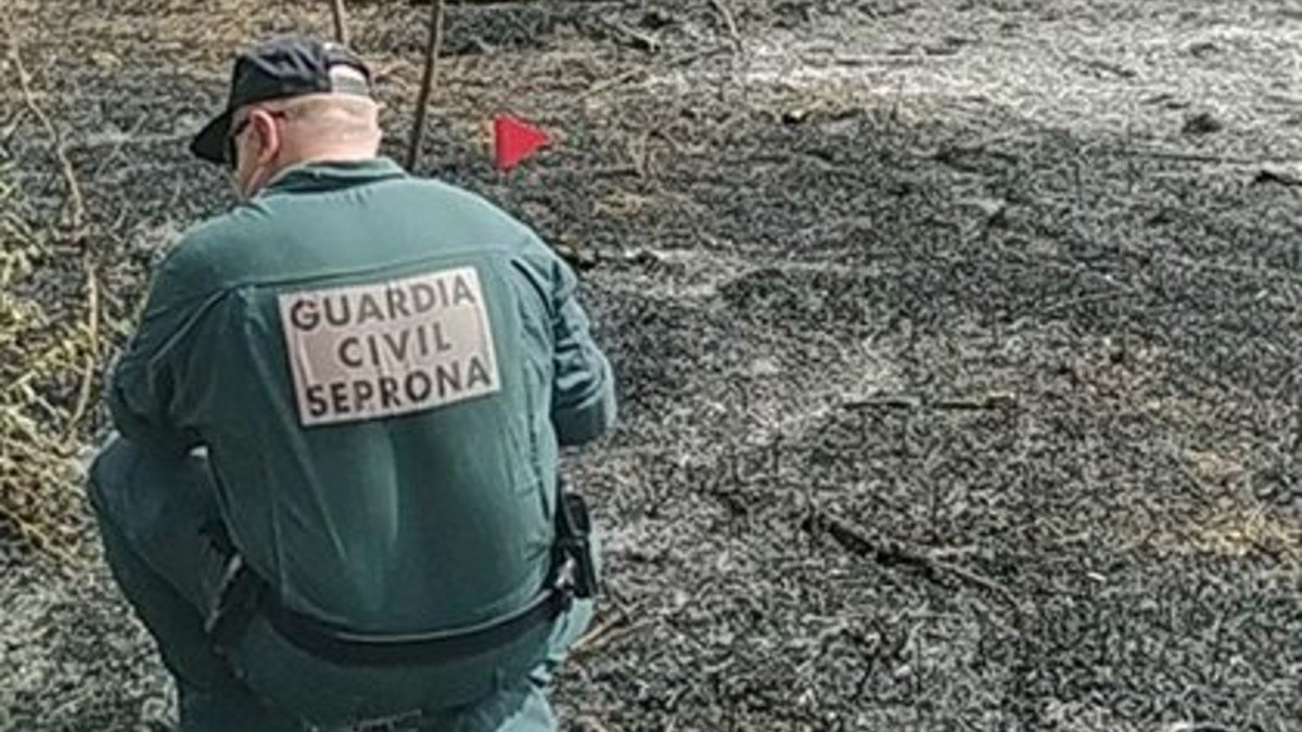 Un equipo del Seprona de Cuenca y del puesto de Horcajo de Santiago han llevado a cabo las investigaciones. | FOTO: G. CIVIL