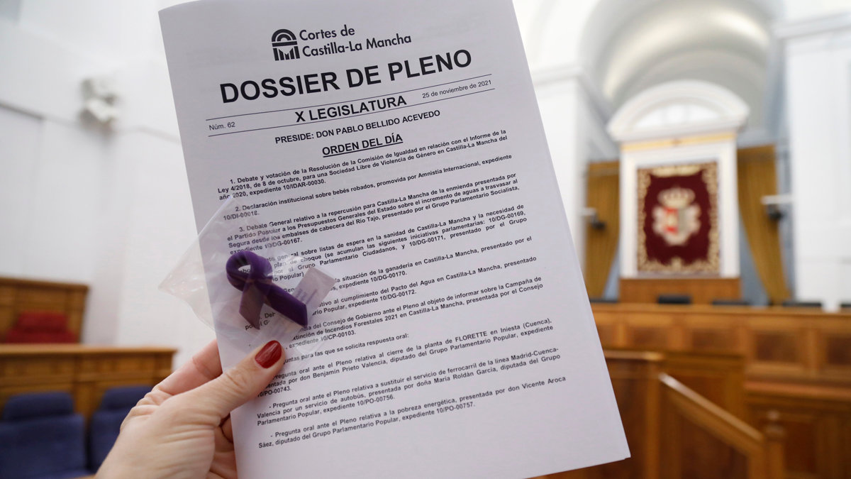 Dossier de la sesión plenaria de las Cortes de Castilla-La Mancha en el que se ha condenado la violencia machista. — C. TOLDOS