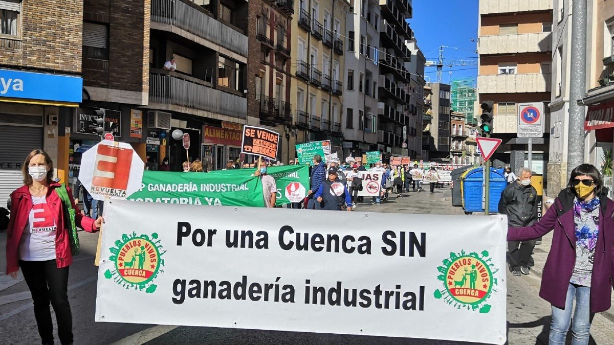 Cuenca Ahora reclamaba una provincia sin ganadería industrial en la manifestación del pasado 14 de noviembre.