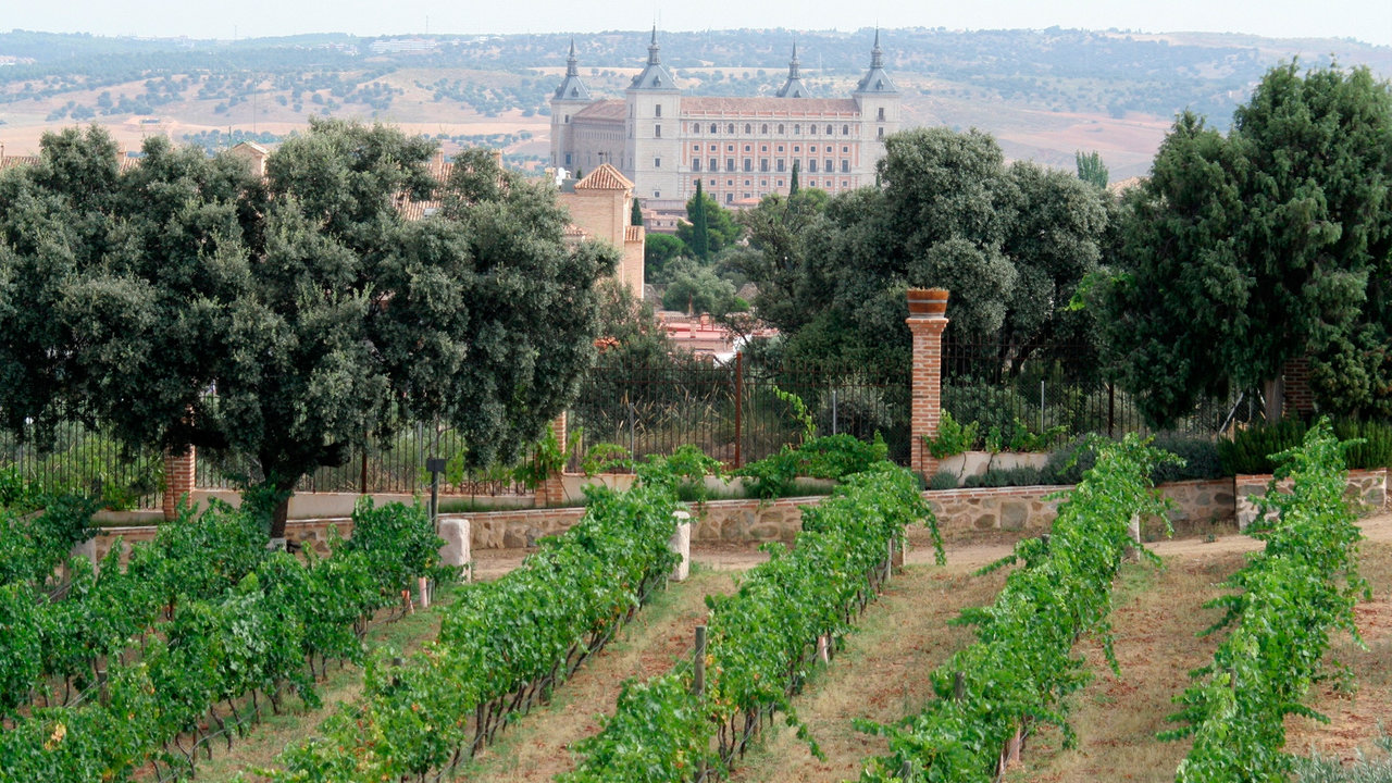 Viñedos Cigarral de Santa María es el único viñedo urbano de España y ofrece unas vistas espectaculares de Toledo. 