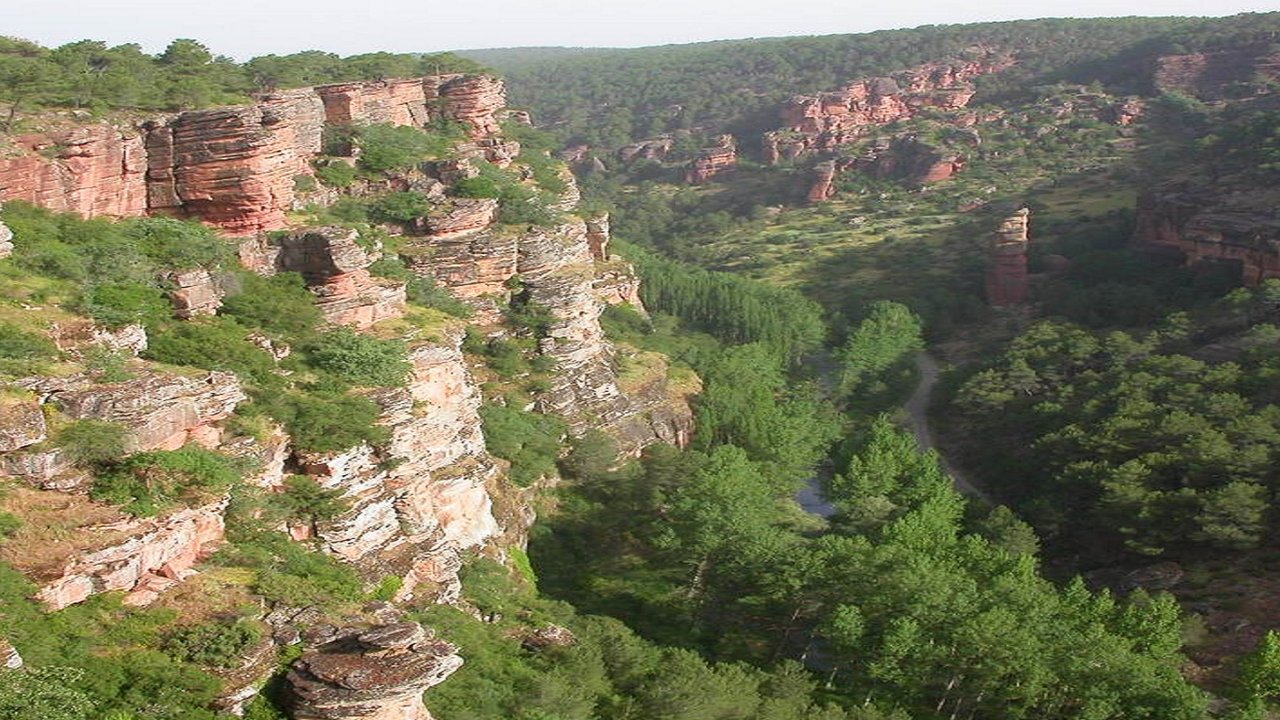 El Barranco de la Hoz, el espectacular cañón creado por el río Gallo durante miles de años, se encuentra en el Parque Natural del Alto Tajo.