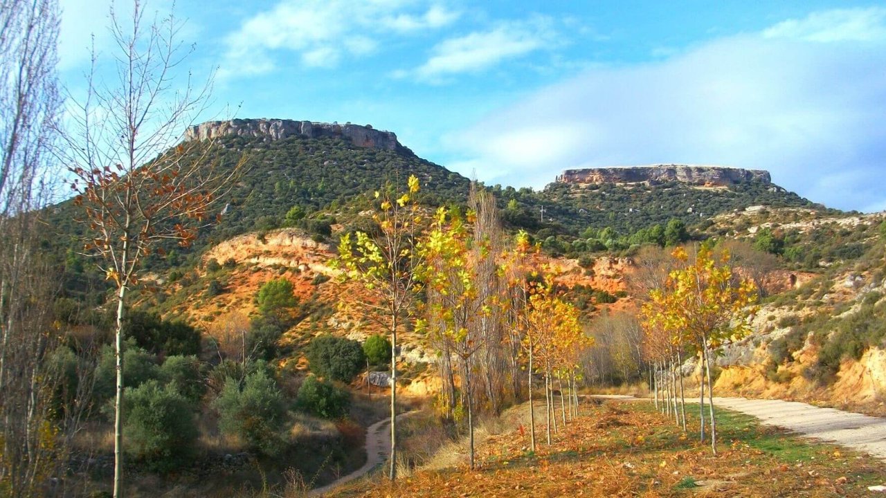 Las Tetas de Viana, como se conoce a los dos cerros gemelos que dominan La Alcarria, cuentan con la declaración de Monumento Natural. - TURISMO CLM