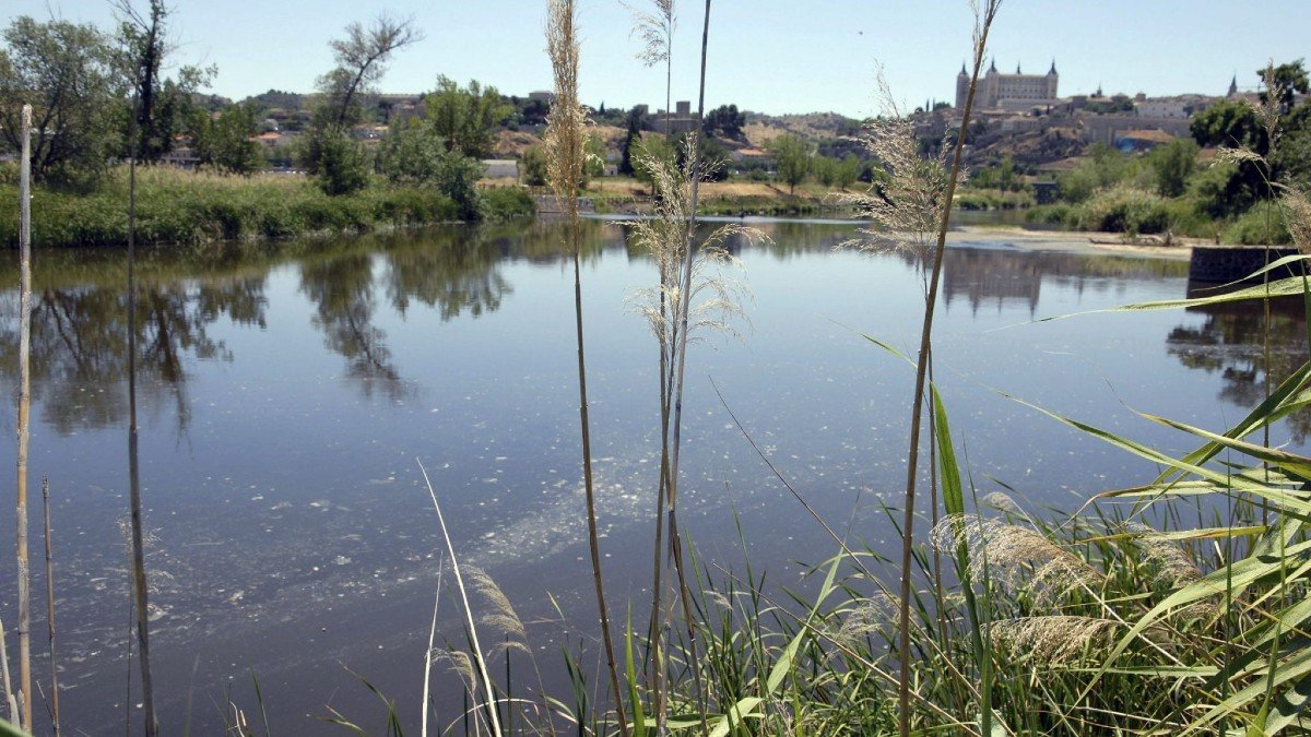 El borrador del Plan Hidrológico contempla un caudal ecológico para el paso del Tajo por Aranjuez compatible con el buen estado del río a su paso por Toledo y Talavera. - ARCHIVO