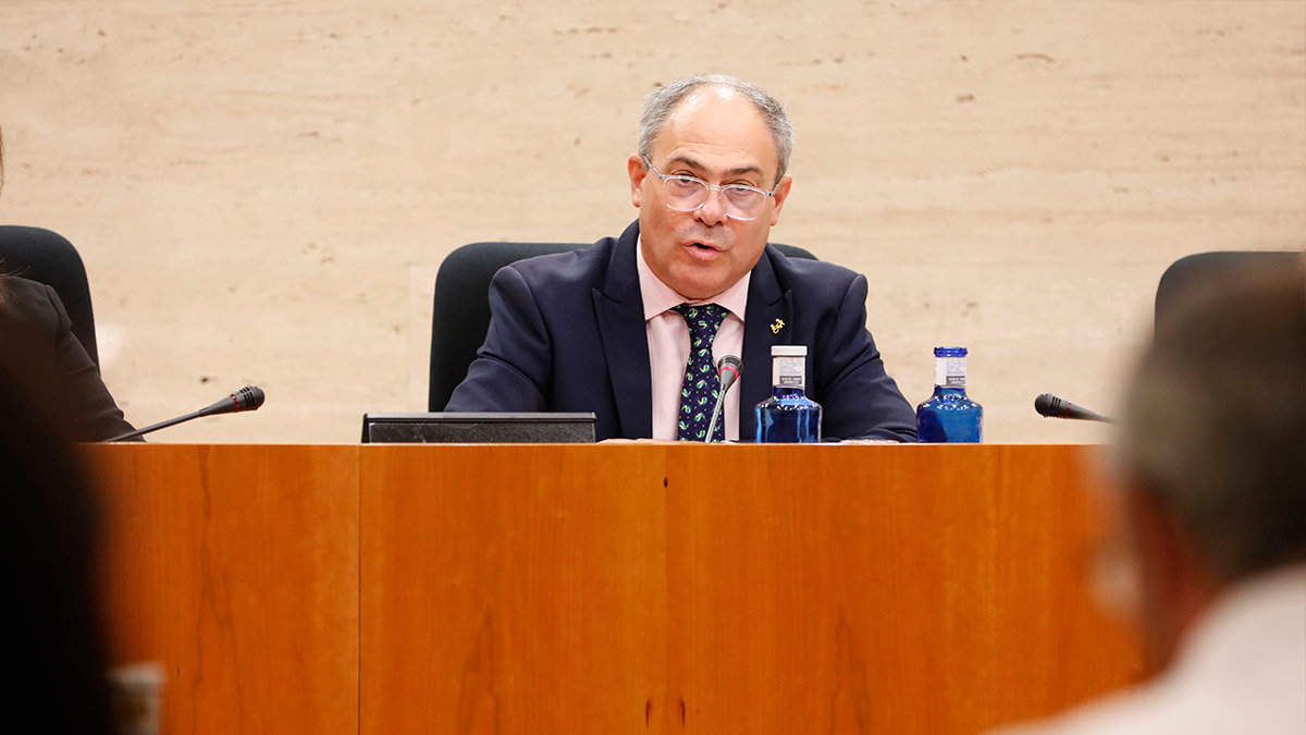 El director general de Discapacidad, Javier Pérez, en la comisión de Bienestar Social de las Cortes regionales. - CARMEN TOLDOS