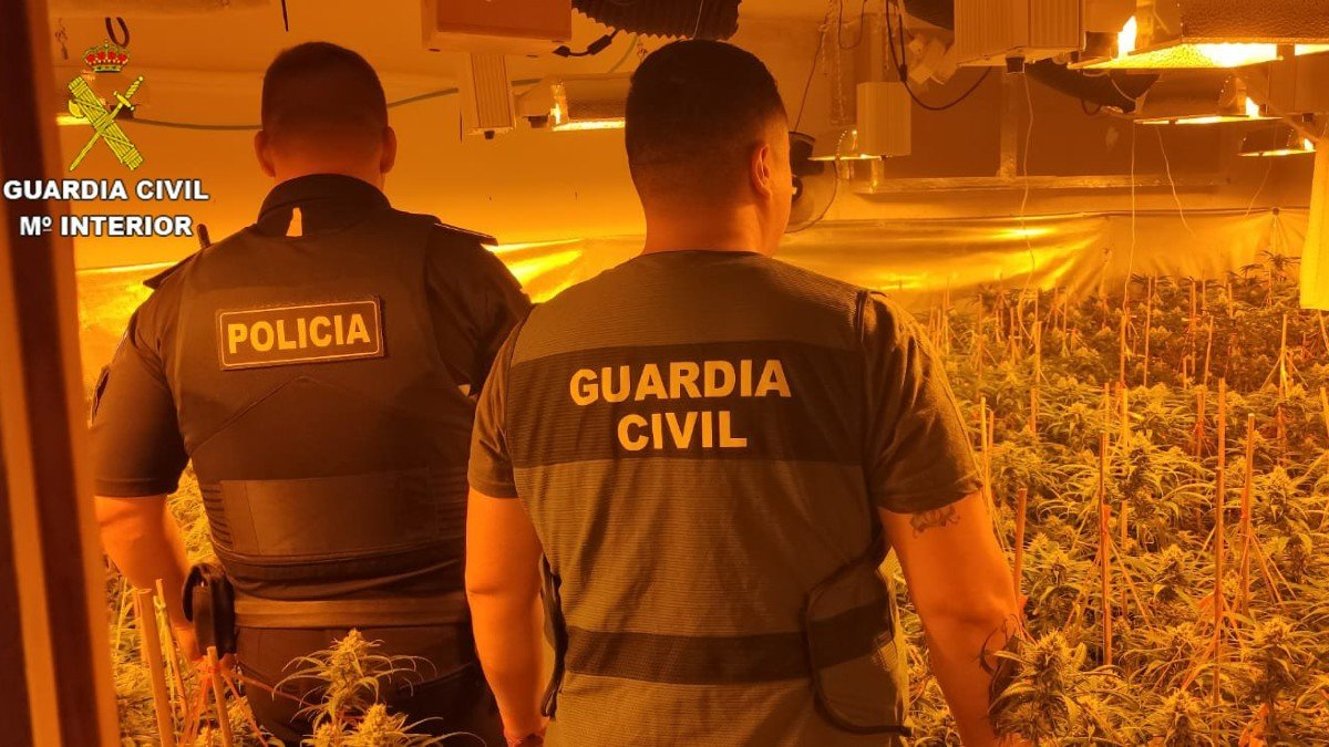 La operación ha sido conjunta de la Guardia Civil y la Policía Local de Seseña. | GUARDIA CIVIL