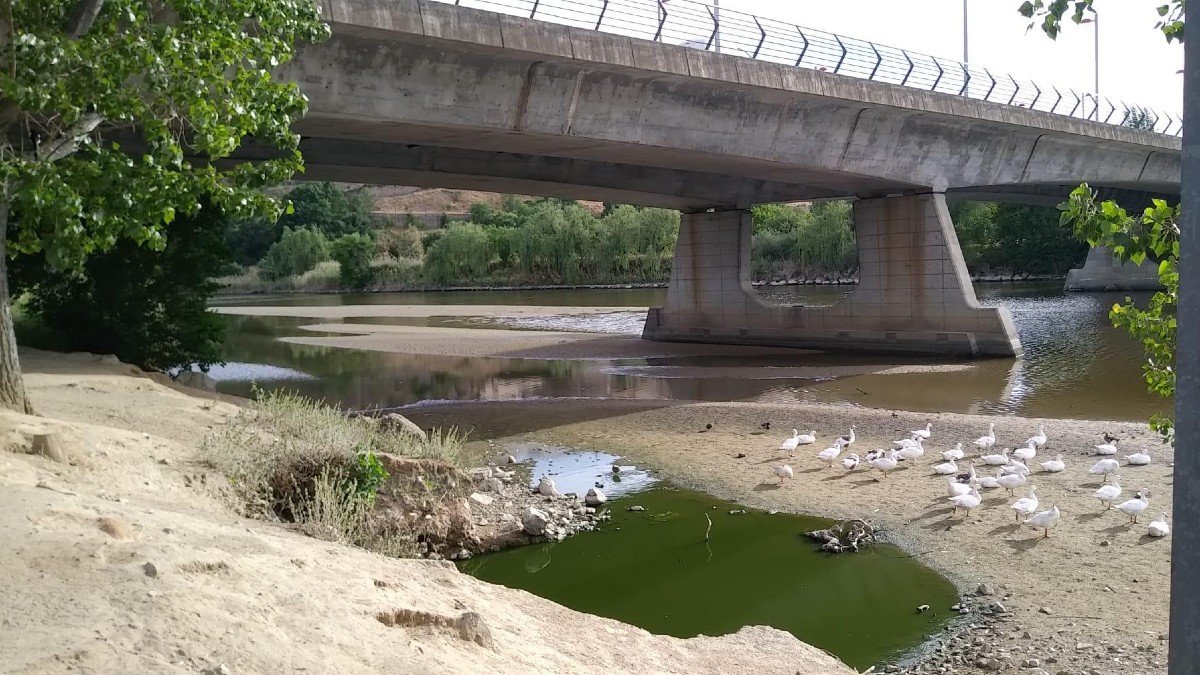 La bajada del caudal del río Tajo ha dejado imágenes de este tipo. | ARCHIVO