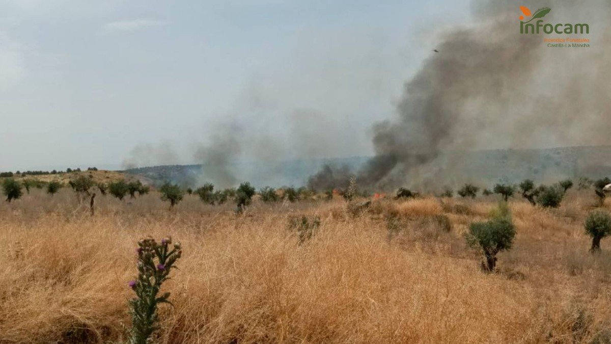 El incendio ha sido detectado por el Servicio de Emergencias 112 de Castilla-La Mancha a las 13:03 horas. | INFOCAM