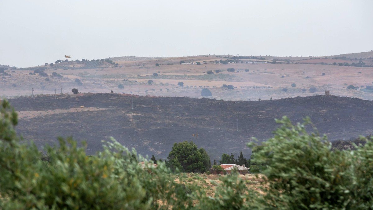 Las primeras estimaciones señalan que se han visto afectadas por el fuego 900 hectáreas. -JCCM