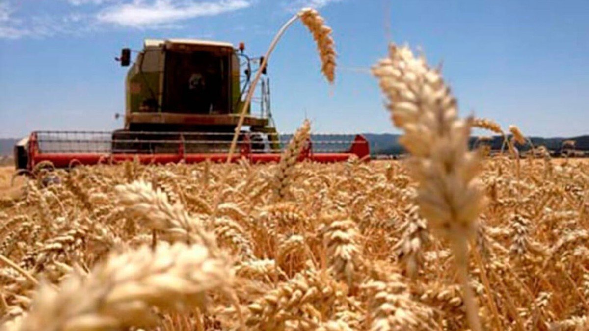 Castilla-La Mancha pone a disposición su red de silos para almacenar el grano que pudiera salir de Ucrania. - ARCHIVO
