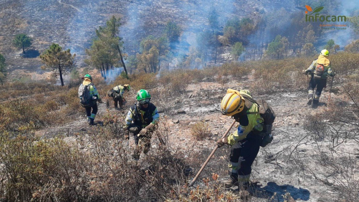 Los efectivos de extinción de incendios han centrado sus esfuerzos en frenar el avance del fuego hacia el norte. - PLAN INFOCAM
