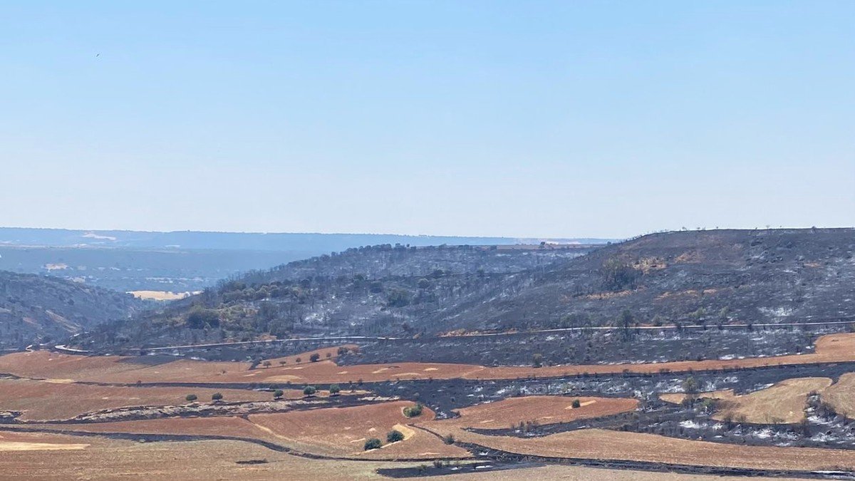 Una de las zonas afectadas por el incendio declarado en Valdepeñas de la Sierra este martes. 