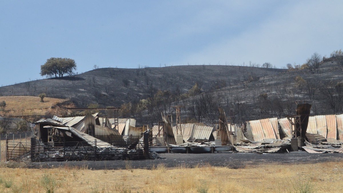 Una de las explotaciones agrarias que se ha visto afectada por el fuego declarado en Valdepeñas de la Sierra. - APAG