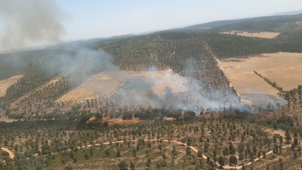 El incendio se declaraba el 25 de julio a las 14.14 horas en el paraje de Quejigo Gordo en Almadén.  - PLAN INFOCAM