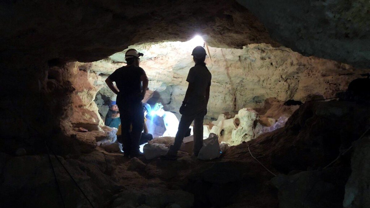 La excavación en la Cueva de los Toriles mostrará sus avances en una exposición en Carrizosa este invierno. - AYTO. CARRIZOSA
