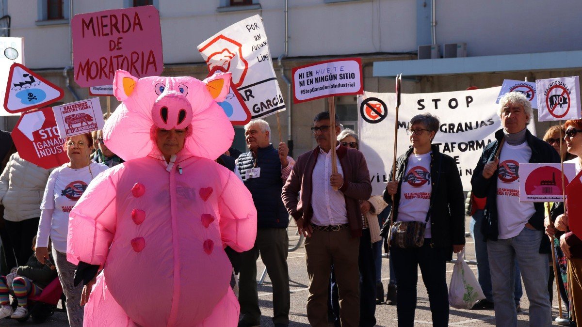 La provincia de Cuenca ha vuelto a alzar la voz contra las macrogranjas porcinas. - PODEMOS CUENCA