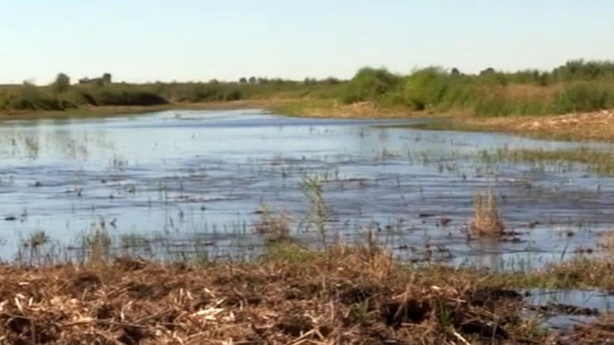 El pasado mes de agosto Las Tablas de Daimiel comenzaban a recibir agua procedente del trasvase Tajo-Segura, con la que se han inundado 275 hectáreas.