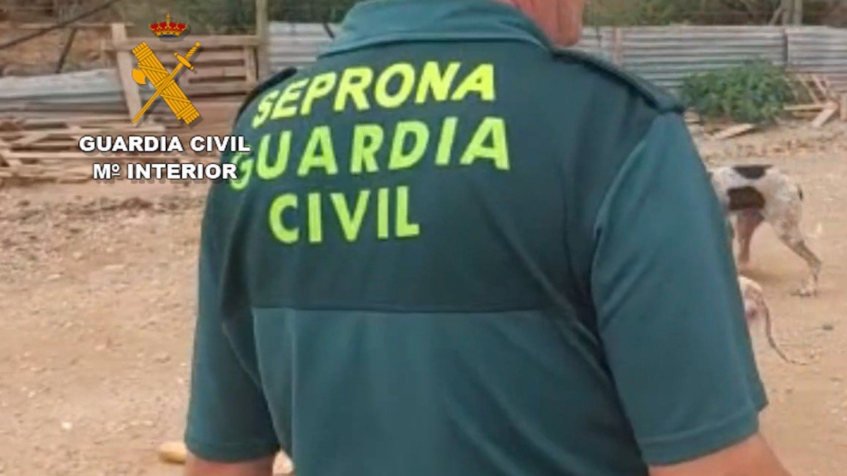 El Seprona investiga al propietario de la explotación ganadera. - GUARDIA CIVIL | ARCHIVO