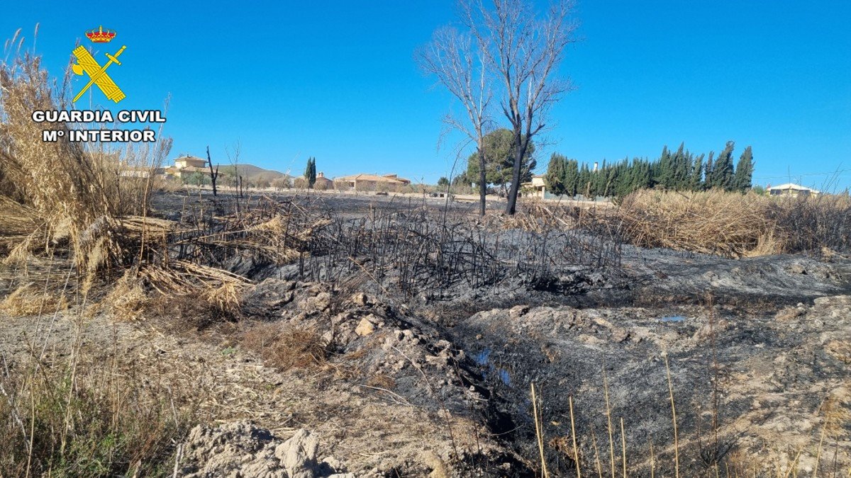 El incendio afectó a una superficie de 2,7 hectáreas. - GUARDIA CIVIL