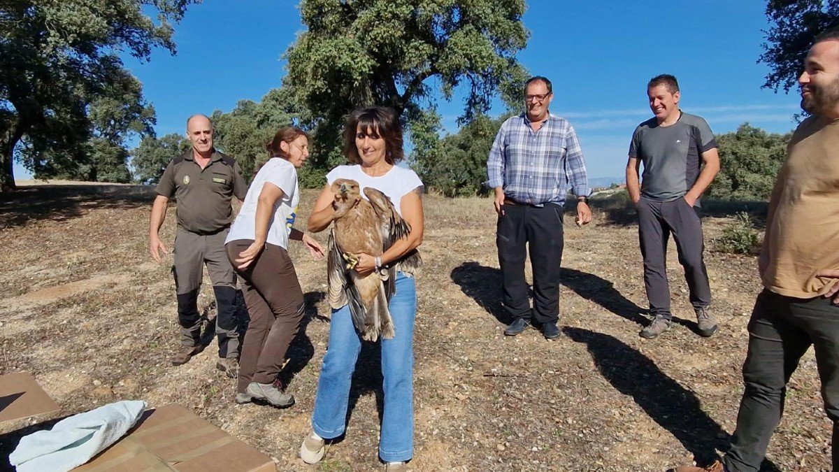 La directora general ha participado en la reintroducción de dos ejemplares de águila imperial ibérica recuperados en el CERI de Sevilleja de la Jara.  - JCCM
