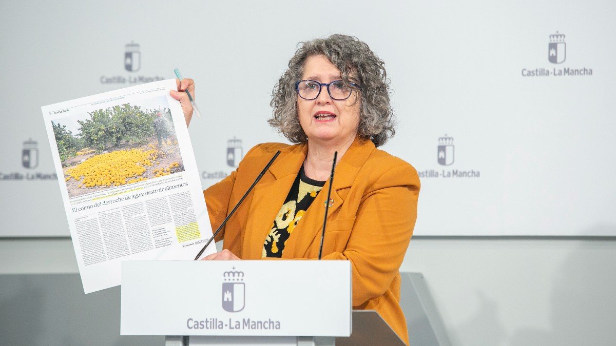 La consejera de Desarrollo Sostenible, Mercedes Gómez, durante la rueda de prensa ofrecida en Toledo. - A. PÉREZ | JCCM