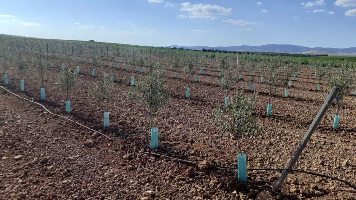 Los robos de material de riego se han producido en las comarcas de La Mancha y Campo de Montiel. - ARCHIVO