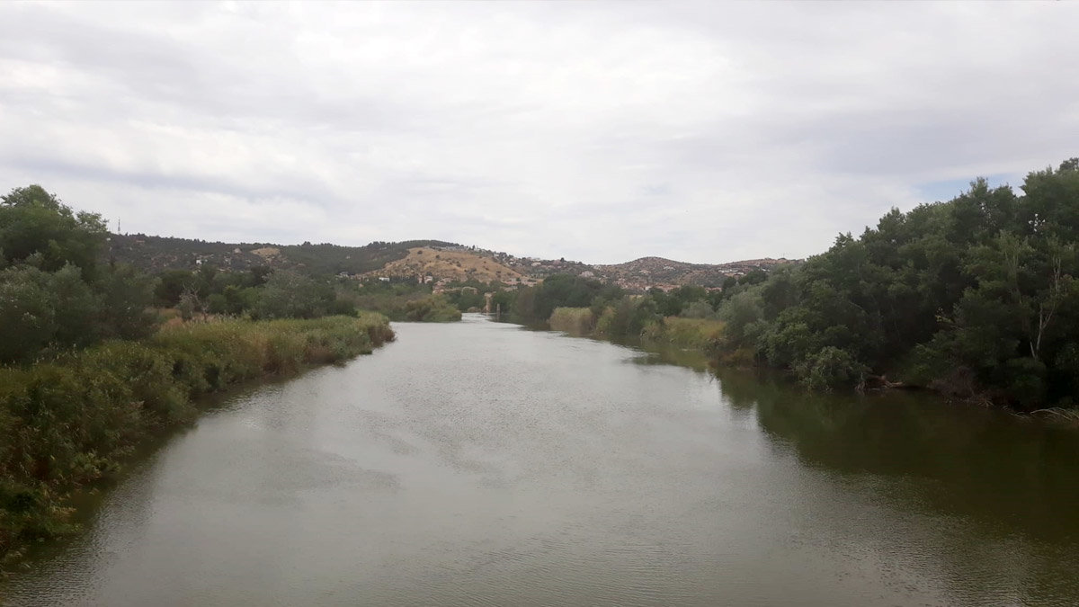El río Tajo a su paso por Toledo, en una imagen tomada este mes de junio en el puente 'La Peraleda'. - S. JIMÉNEZ