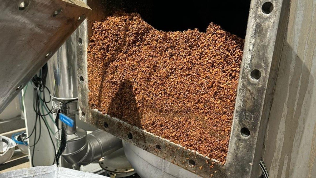 La extracción se ha escalado a partir de dos de los subproductos de las nueces de Nerpio, la cáscara y la poda de invierno. - JCCM