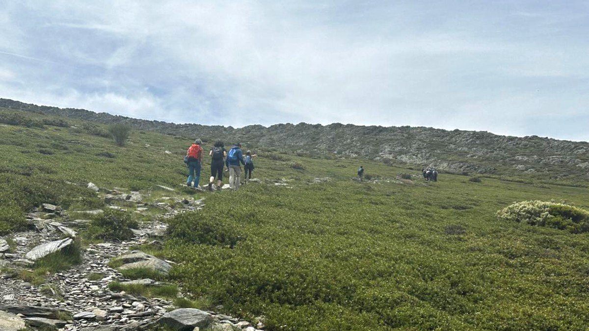 Para este verano se han programado una treintena de propuestas en espacios naturales. - JCCM