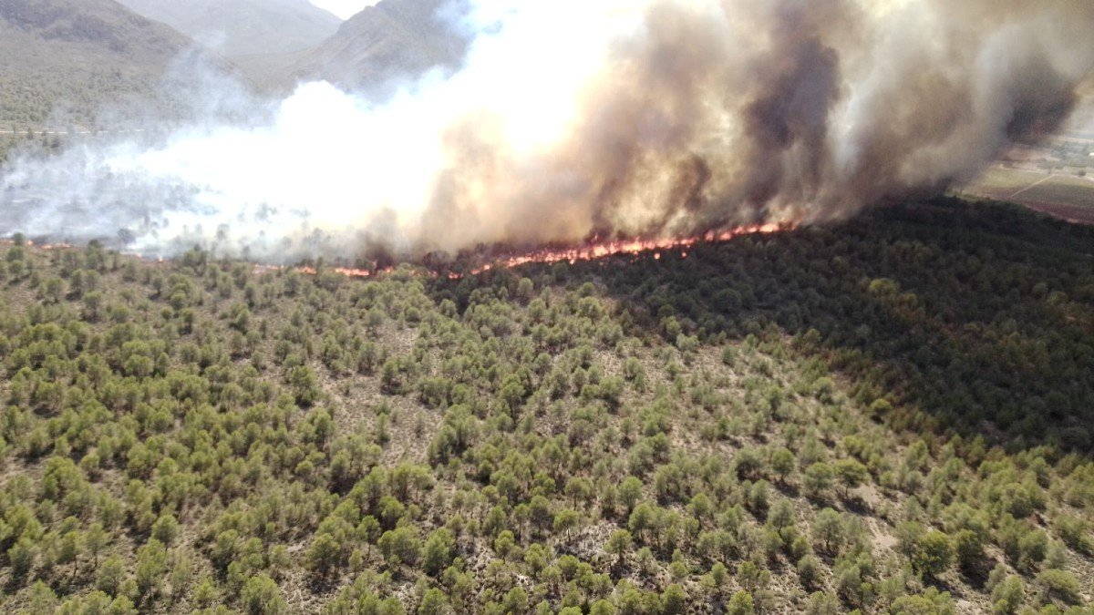 El fuerte viento está dificultando las labores de extinción en Hellín. - RRSS