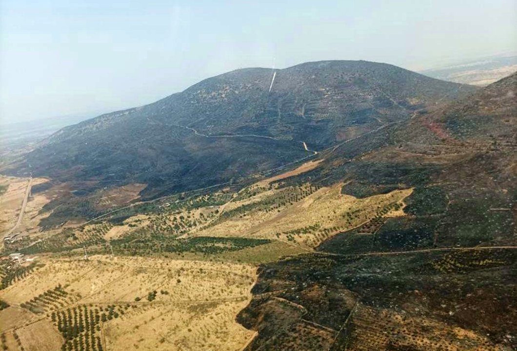 El fuego ha quemado ya 2.500 hectáreas en La Estrella. - INFOCAM