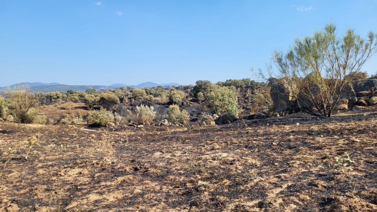 El incendio de La Estrella ha quemado una zona de monte bajo, retama y pasto.