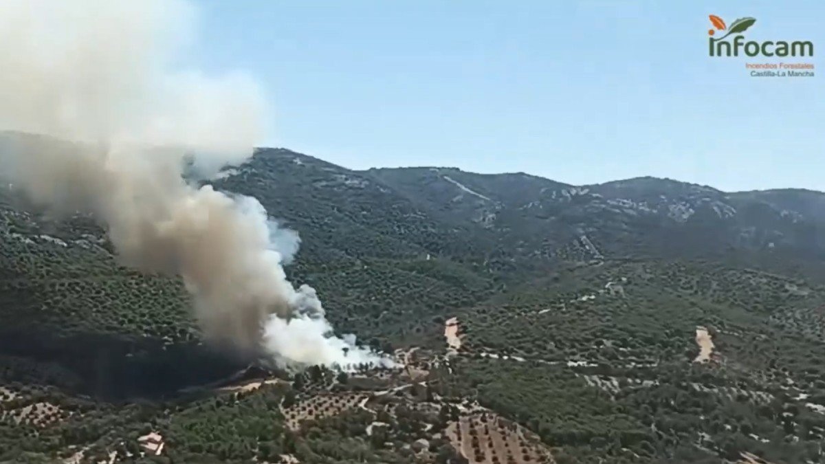 Incendio declarado en Viso del Marqués. - INFOCAM