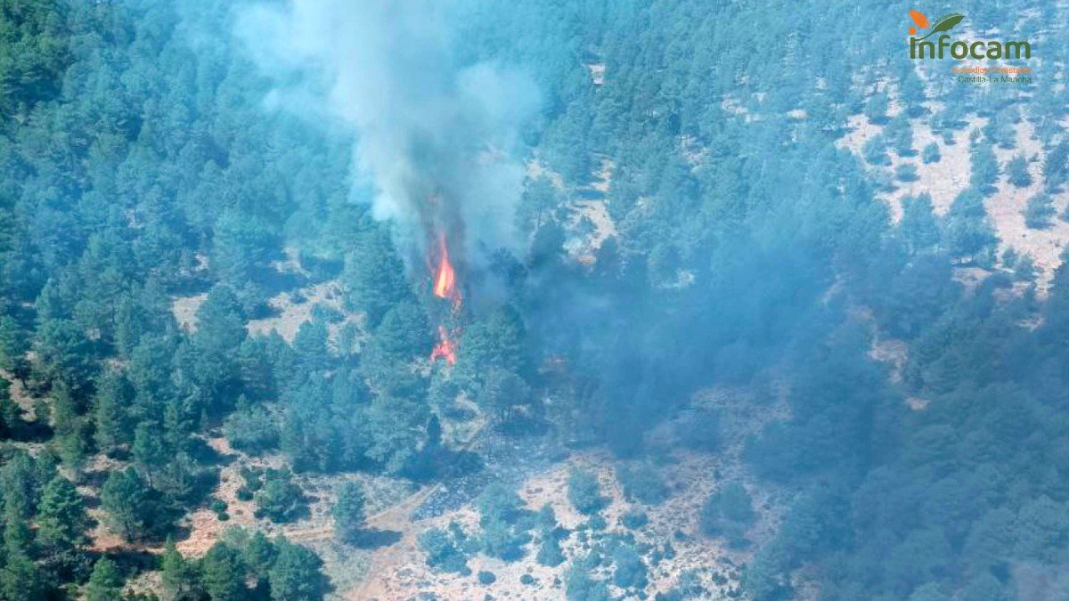 Incendio declarado en Baños de Tajo (Guadalajara). - INFOCAM