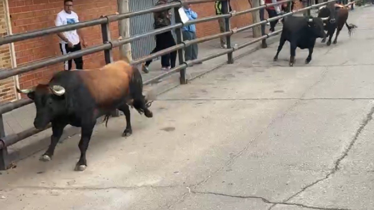 Encierro en Pantoja.