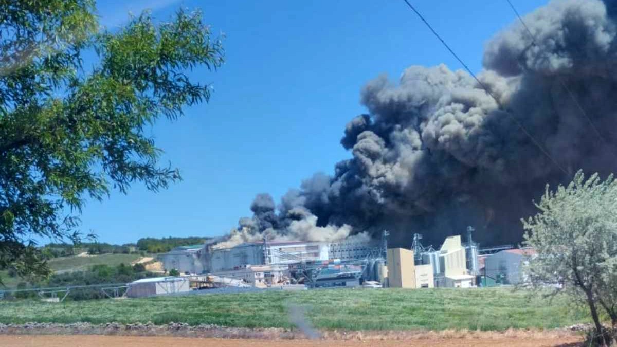Aparatoso incendio en una granja avícola en San Lorenzo de la Parrilla: hay un herido con quemaduras leves