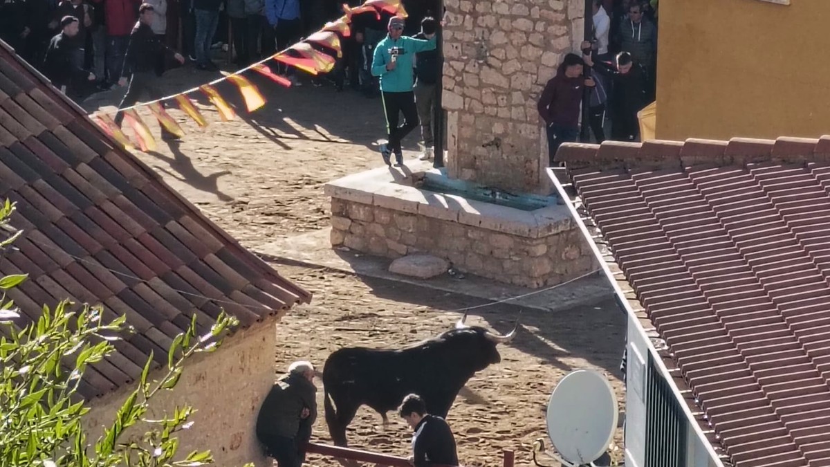 Cuatro heridos, uno de ellos por asta de toro, en un evento taurino celebrado por las calles de un pueblo de Guadalajara