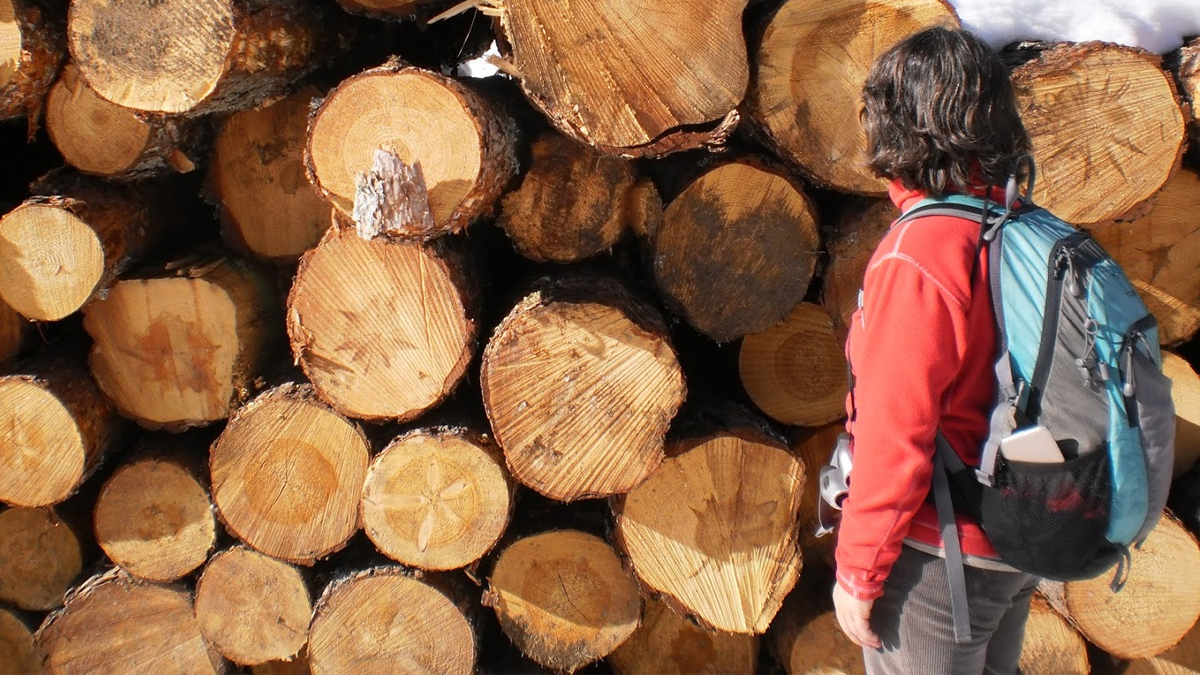 Una jueza archiva la causa por la tala abusiva del parque natural Serranía  de Cuenca al no ver delito medioambiental